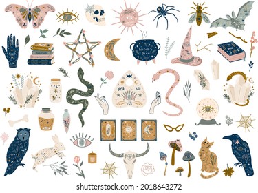 65 Mystical witchy illustrations for Halloween. Hand drawn witchcraft graphic set of snake butterfly crystals herbs skull insects potion jars etc.
