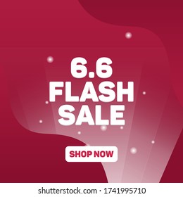 6.6 Flash Sale Shop Now 2