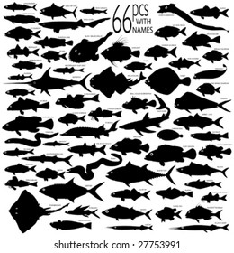 66 pieces of detailed vectoral fish silhouettes.