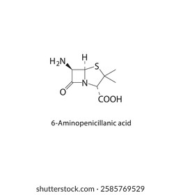 6-Aminopenicillanic acid skeletal structure.Beta-lactam antibiotic precursor compound schematic illustration. Simple diagram, chemical formula.