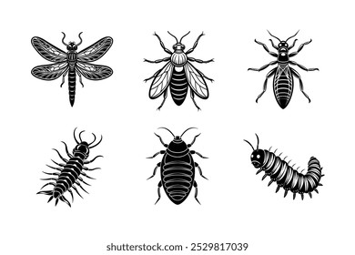 Silhueta de 6 feixes de lagarta, cupim, centopeia, libélula, pulga, insetos percevejos