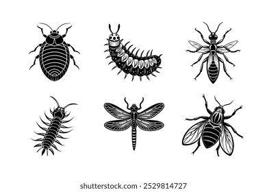 Silhueta de 6 feixes de libélula, pulga, percevejo, lagarta, cupim, insetos centopeia