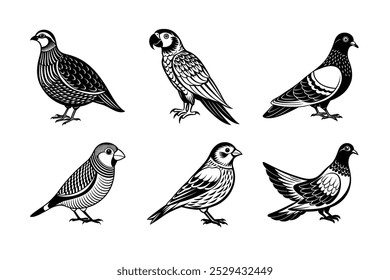 Silhueta de 6 feixes de arara, canário, perdiz, pombo, papagaio, pomba 