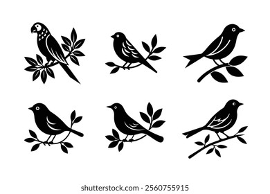 6-bundle template set of birds vector illustration
