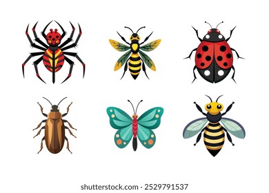 6-feixe vetor de aranha, abelha, besouro da casca, borboleta, joaninha, insetos vespas 3