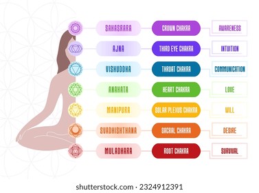 7 chakras chart with meanings and body silhouette. Vector illustration banner.