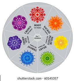 7 Chakras Color Chart and Mandalas Wheel for Dowsing- Pendulum