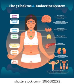 7 Chakras and Endocrine System, Esoteric Healing Therapy Vector Illustration Body Diagram Scheme with All Chakra Names and Corresponding Body Processes.