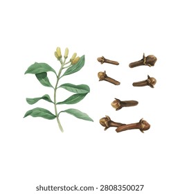7 Cocking masala living things 