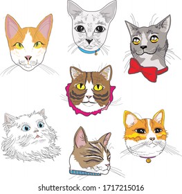 7 Days of Cats – Can't get enough!
