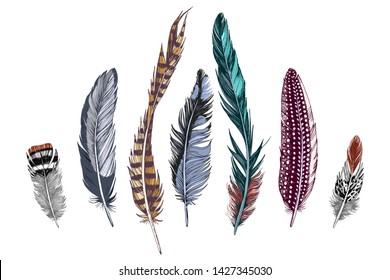 7 hand drawn colorful feathers on white background. Vector illustration