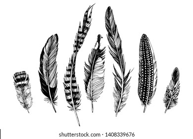 7 hand drawn feathers on white background. Vector illustration