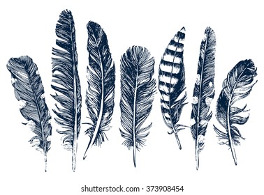 7 hand drawn feathers on white background