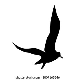 7 Silhouette de vuelo Ave aislado sobre fondo blanco. para ilustración de vectores web y móviles