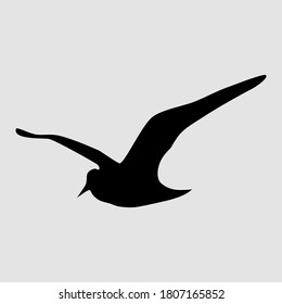 7 Silhouette of flying Bird isolate on white background. for web and mobile vector illustration