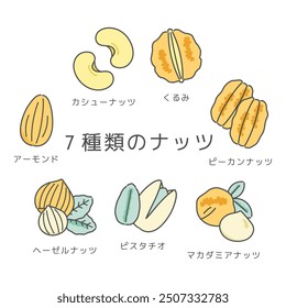 7 types of nuts illustration translation: cashew, walnuts, pecan, macadamia nut, pistachio, hazelnut, almond