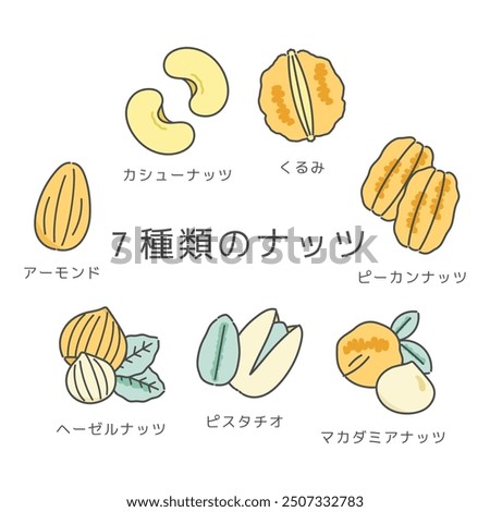 7 types of nuts illustration translation: cashew, walnuts, pecan, macadamia nut, pistachio, hazelnut, almond