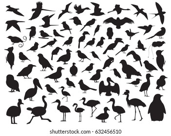 70 Bird Silhouette Vector Illustration