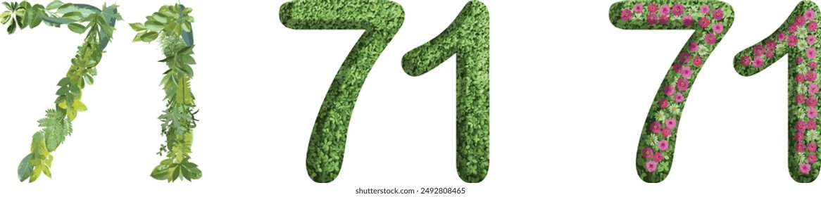 71, design made from green grass, leaves and flower, .suitable for birthday, anniversary and memorial day templates, go green concept	

