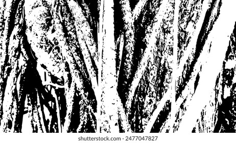 7-25.Dry branch texture background image