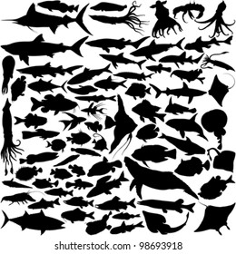74 Vector Silhouettes of fish and sea animals isolated on white