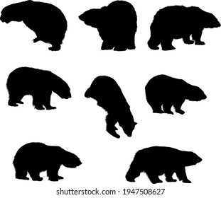 8 bear silhouettes. Smooth and Clean Lines. High detailed bear silhouettes. Vector Illustration.