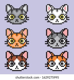 8 bit pixel art cats avatar