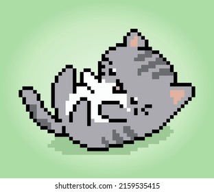 8 bit Pixel cat are playing. Animals for game assets in vector illustrations.