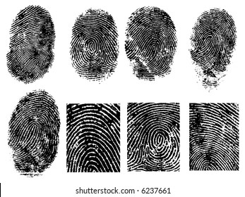 8 Black and White Vector Fingerprints - Very accurately scanned and traced ( Vector is transparent so it can be overlaid on other images, vectors etc.)