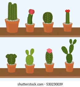 8 Different Cacti Set