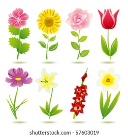 8 flower icons set. Illustration vector.