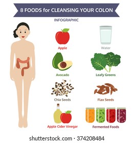 8 foods for cleansing your colon, info graphic food, vector illustration