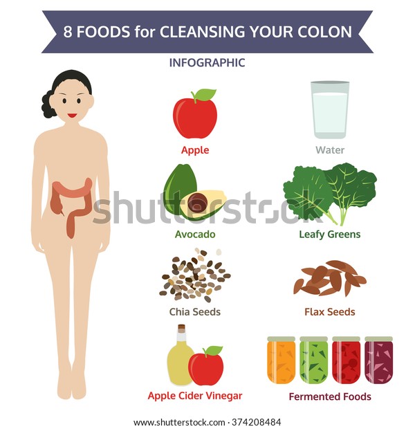 8 Foods Cleansing Your Colon Info 스톡 벡터로열티 프리 374208484 Shutterstock 