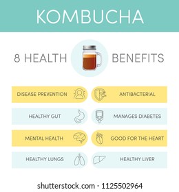 8 health benefits of kombucha tea, vector infographic