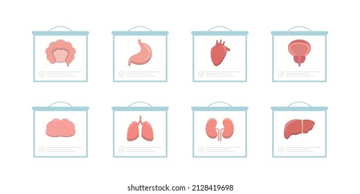 Órganos humanos: Corazón, Intestino grande, Intestino, Estómago, Cerebro, Escalera, Próstata, Riñón, Pulmón, Hígado, Portapapeles con Infografía