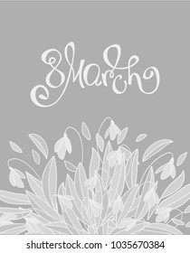 8 march grey and white greeting card with handwritten lettering and bouquet of snowdrops. Vector illustration for  postcard, card, invitation, poster, banner template lettering typography