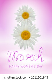 8 march - happy woman's day. Greeting card with daisies or chamomiles forming the number eight 

