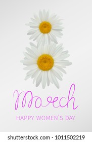 8 march - happy woman's day. Greeting card with daisies or chamomiles forming the number eight 
