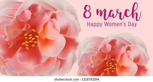 8 March Happy Women's Day vector cards. Elegant cards with pink rose. March 8th international womens day design