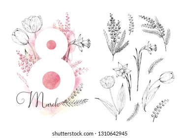 8 march. International Women's Day. Vector card. Watercolor background. Hand drawn illustration in engraving style. Spring vintage flowers: tulips, narcissus and mimosa. Set of isolated sketch flowers