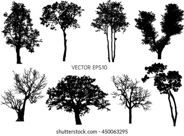 6,028 Aspen tree silhouette Images, Stock Photos & Vectors | Shutterstock