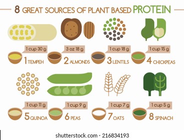 8 sources of plant based protein Illustrator