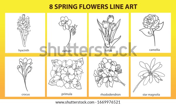 8 Spring Flowers Line Art Spring Stock Vector (Royalty Free) 1669976521 ...