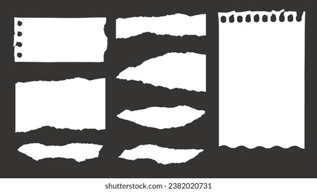8 piezas de papel rotas por vectores