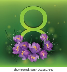 8 with violet crocus flowers on green background. International women's day poster. 8 March illustration. 8th of March (Womens Day) card design.