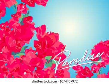 80's style tropic Bougainvillea flower / beach / paradise template