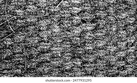 8-34.Old and messy palm mat texture background.