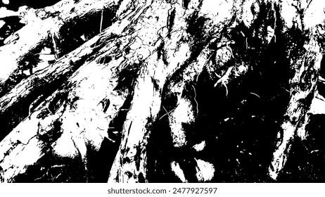 8-47.Old tree root black and white vector texture.