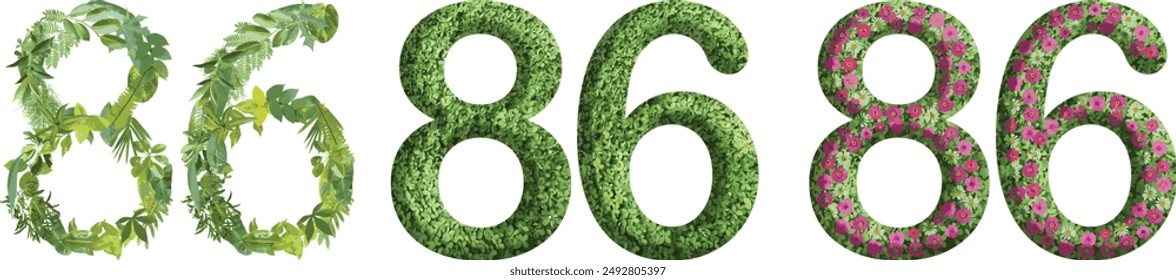 86, diseño hecho de hierba verde, hojas y flor, .conveniente para Plantillas de cumpleaños, aniversario y día conmemorativo, vaya concepto verde	
