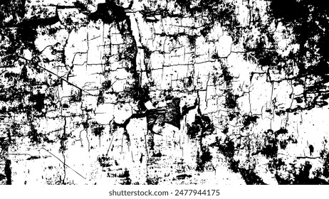 8-99.The surface texture of the old trees that split and fell off.